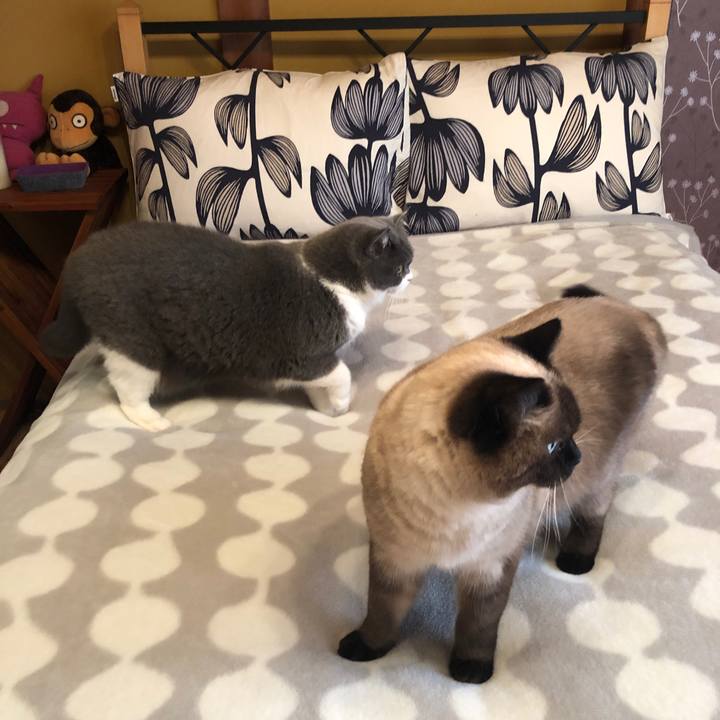 4b48bc73 0307 4ee5 879f 808ccc7e1de7 1613971150675