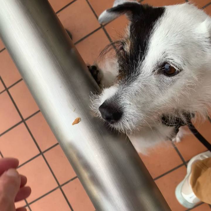 4b48c09e 09a7 43df 9bbd 8ef776262ff0 1717833935743