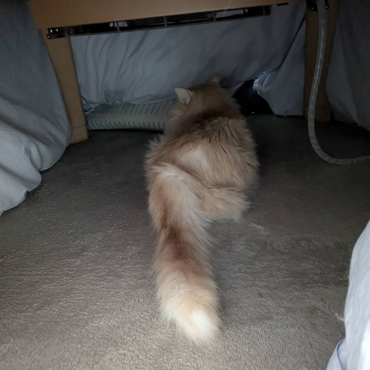 4b493143 e7c4 4a1d b0e4 2f20f09514bd 1773020721911