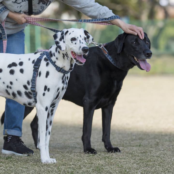 4b49666d eeba 4cbc b8ff 40d6cb044682 1542557933190