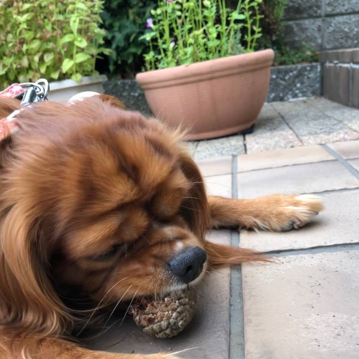 4b49949a dfea 4ab2 bdf5 6f068634446b 1570486356436