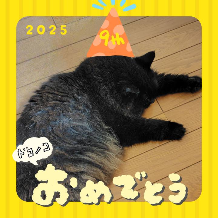 4b49efd4 18fd 49be ad72 6005a6ef4c33 1749212824195