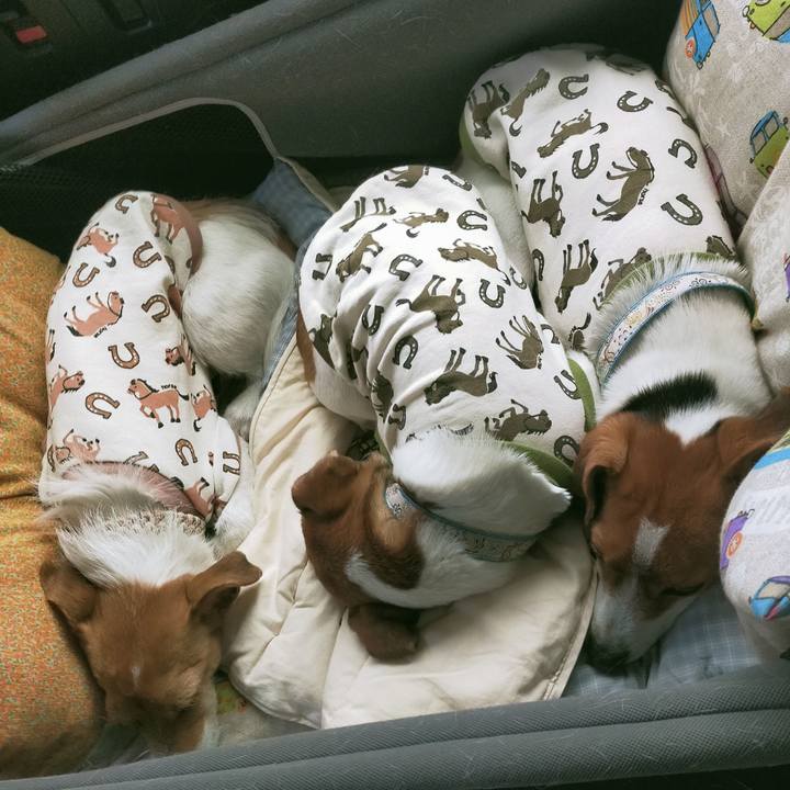 4b49f60b 6ccc 4424 a6e4 671a6316ffb4 1767856868071