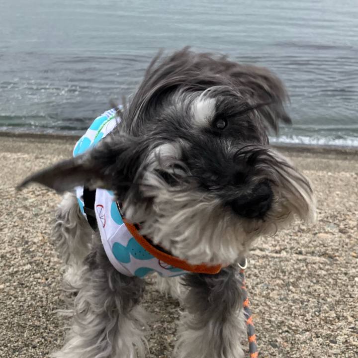 4b4a28fa 26be 411a acea c6935e3da5f3 1746970499958