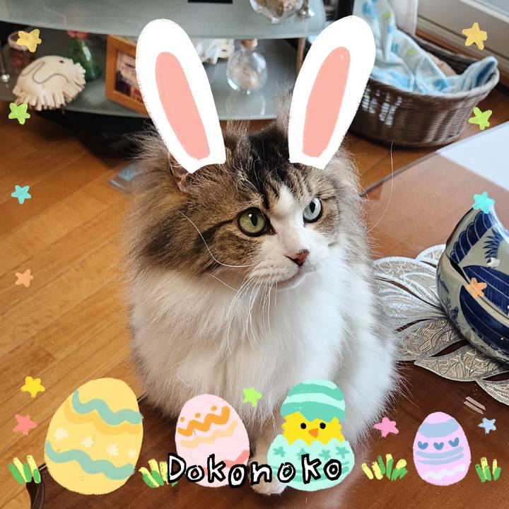 4b4a3605 a34a 4837 b42e b35b65b7d188 1712221162788