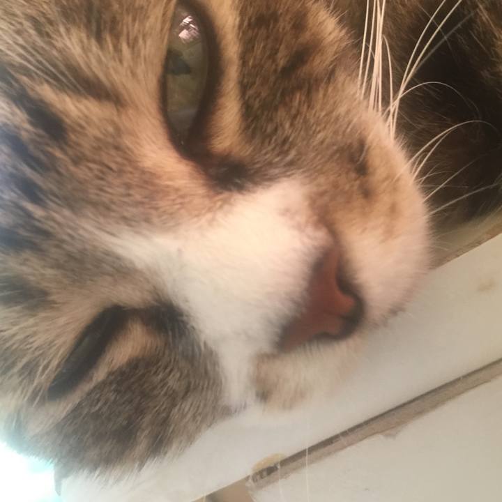 4b4a4721 f81b 49b5 b96a a621cb46a758 1570257371998