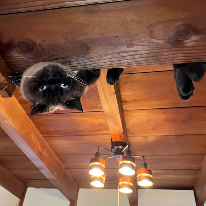 4b4a8114 f4f6 47b6 930b 50a9973fed6c 1677383330986