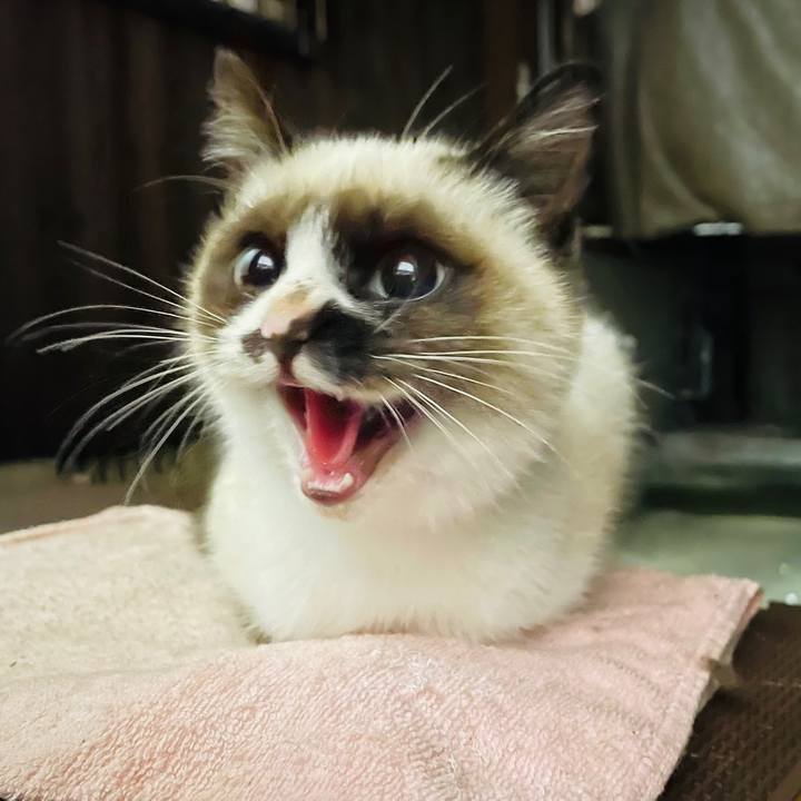 4b4a9784 dbc6 4ad8 9dbe 00003e6efc67 1675721876813