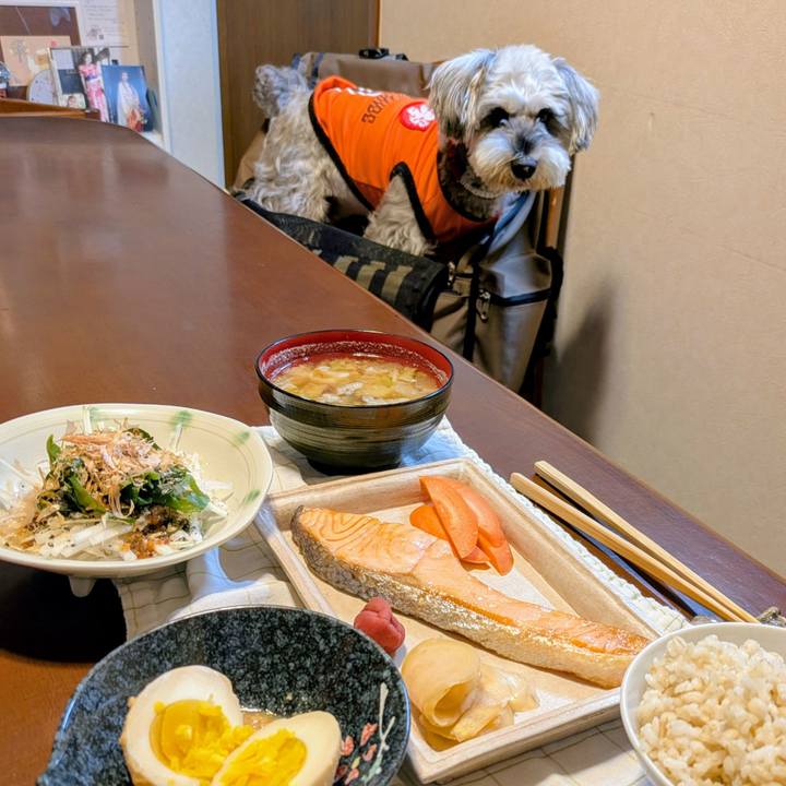 4b4aa589 07d7 4852 9f87 d6144fa1069e 1762614043827