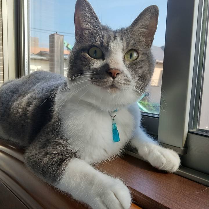 4b4adddc 8af6 45bb b49f 4e0761551a2f 1624663797570