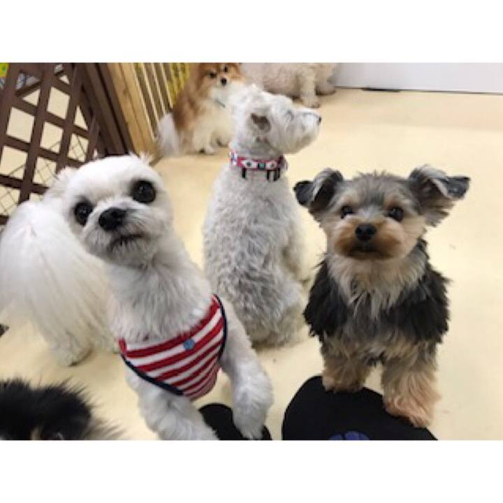 4b4af101 d75a 4f93 86ad f456d2d9adfe 1544781880843