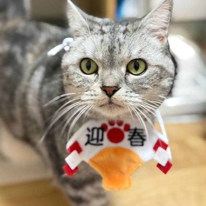 4b4afcdf 6a0f 4fa3 99cf 90b9d807acd3 1767919446742