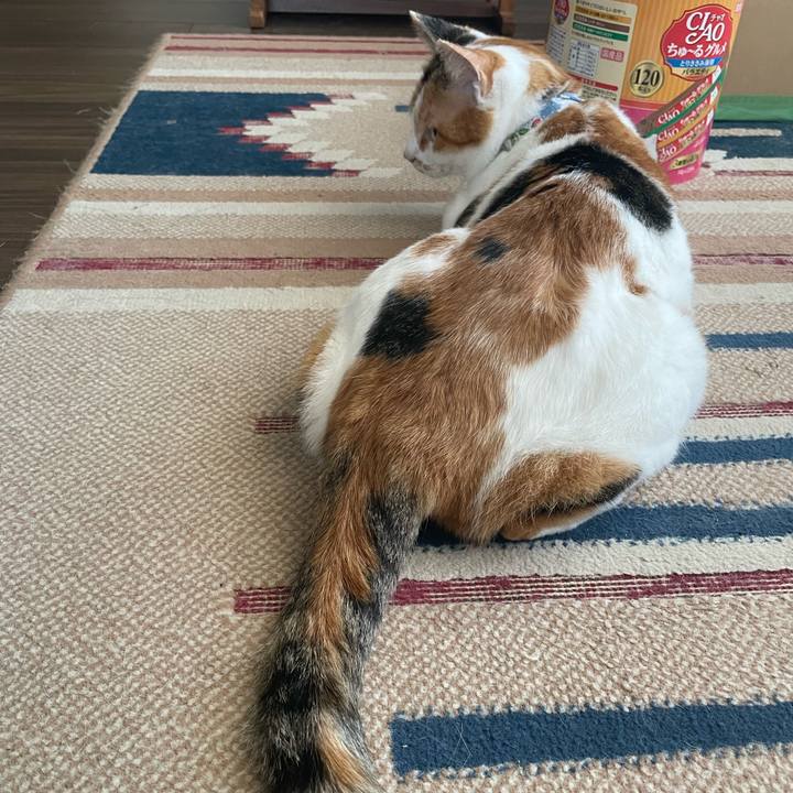 4b4b1ee8 1ff6 4f66 8436 af404fc58cb6 1727307327805