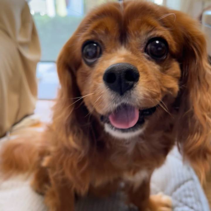 4b4b60bb a1cc 4681 a884 f0f2d12c36f3 1661897215643