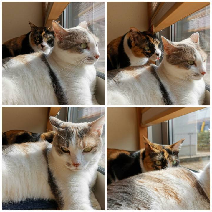 4b4b95cb d9ee 4473 95a1 27021b10a902 1661141127091