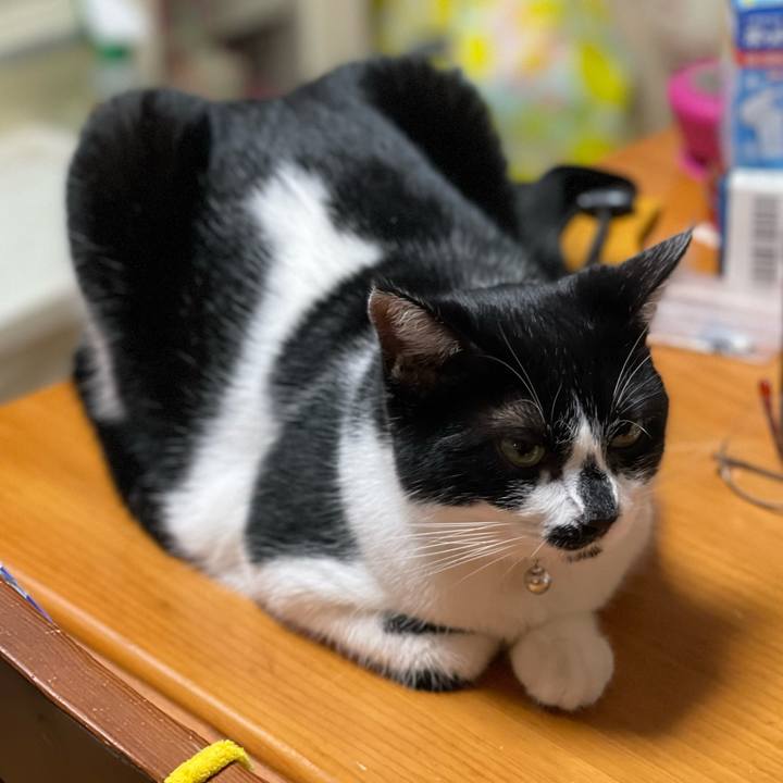 4b4bc2e0 db7a 402e 8804 37e919e399fc 1757810573627