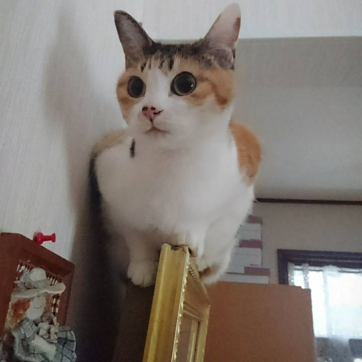 4b4c1d09 3a1d 4909 96fa 8bc739c5ab06 1577774031965