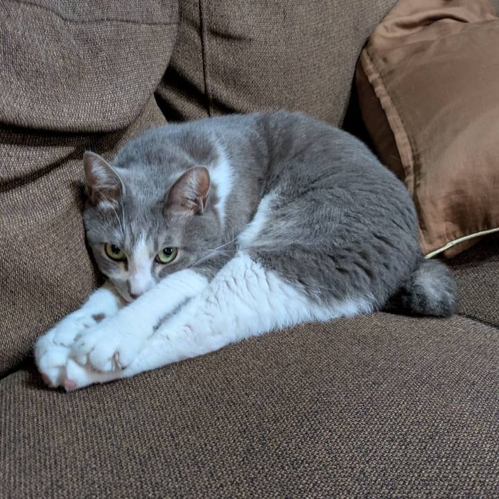 4b4c3bde 0a4e 4313 8dfc dad308d195b9 1733217861255