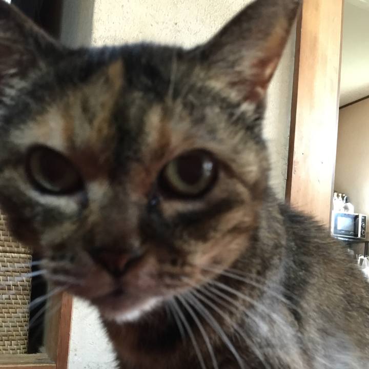 4b4c4266 2a5e 45e5 b4ec 7c84926744b8 1599175559365