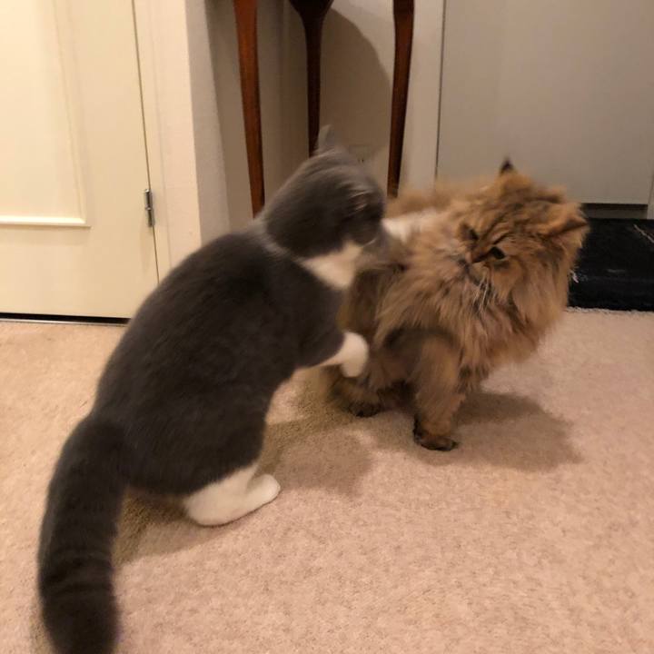 4b4c78b2 a9ff 4fa1 8121 c805ceb6c52d 1520986520265