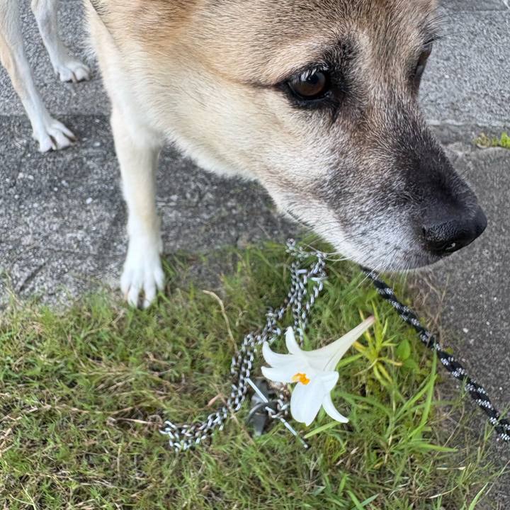 4b4c95c5 53e6 41fc 9e01 8e6a801aebb4 1756209751934