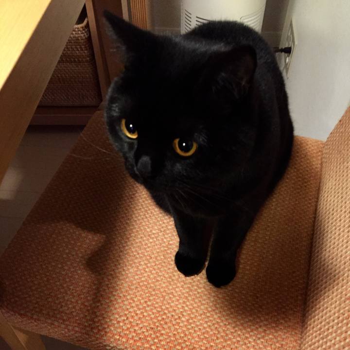 4b4cf3af dc17 423b 8402 d4992be9a63e 1520599873931