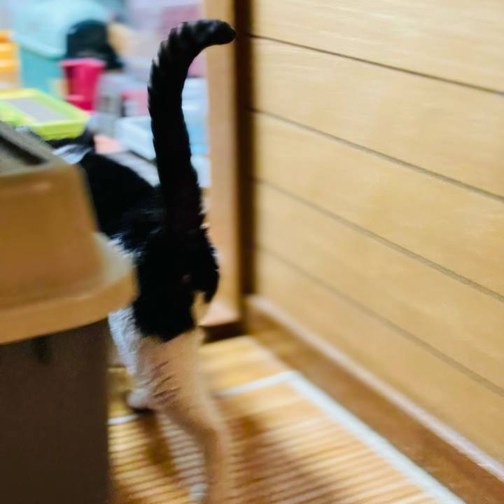 4b4d9a1c 8985 4883 9c47 f8250f0183ad 1644199703316