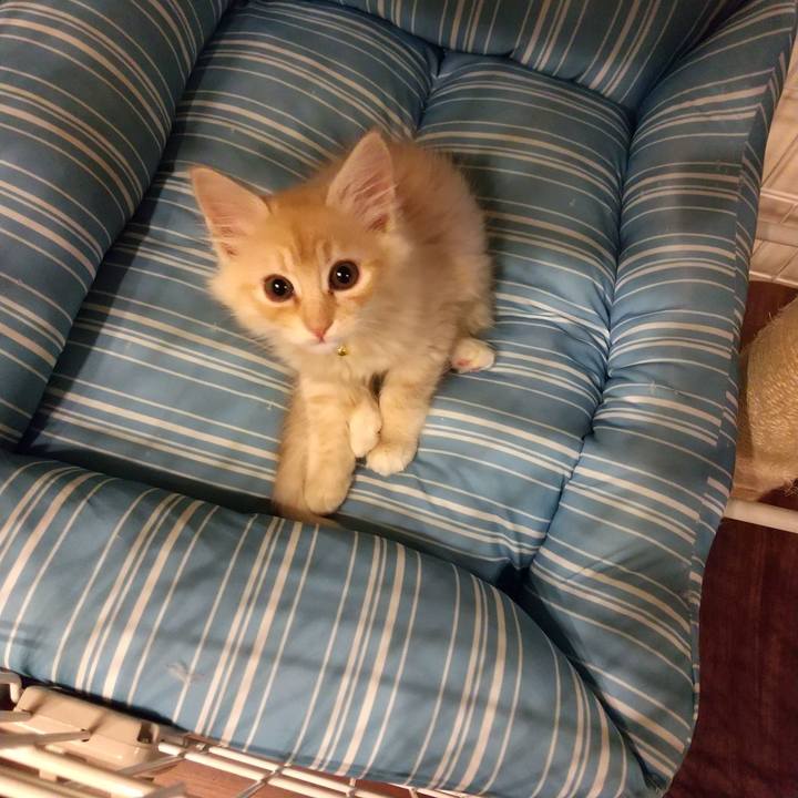 4b4dd09a 00a3 434e a367 194d1aecbed6 1603722743634