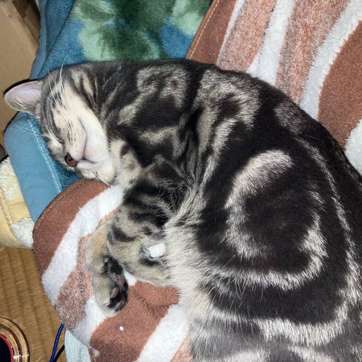 4b4dfc24 43b4 433b bedb c15096434bb7 1771484303856