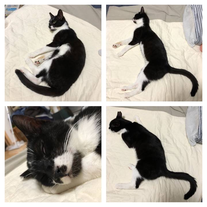 4b4e1633 8ea5 4bf0 9333 551b8a306de6 1530805702356