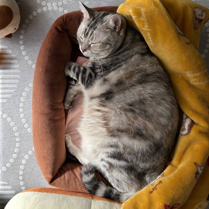 4b4e1652 4d2f 4e54 a05d 25c1cbbf3583 1765588690640