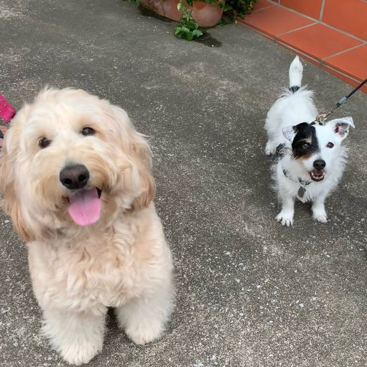 4b4e19cc 0cc3 4481 b1fa a02597df4d1a 1717142627665