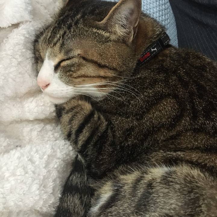 4b4e6e86 ccc4 486c b401 45bffa4b689a 1685030032989