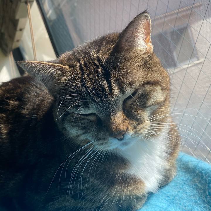 4b4ea065 fcbb 45a7 84a8 4c51afaef83f 1739601721611