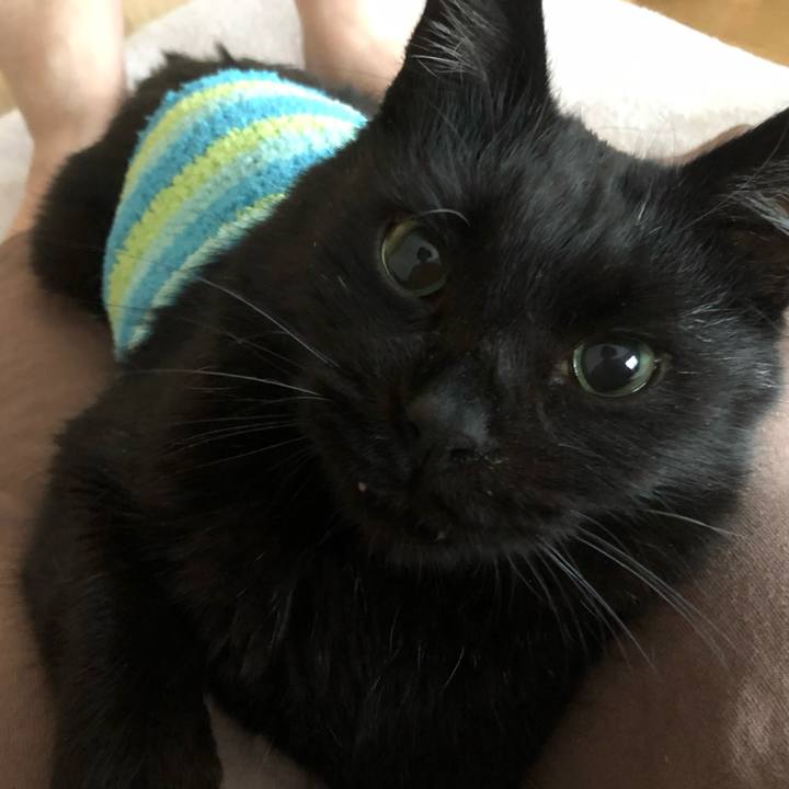 4b4eb1cf a231 4bb0 ba3c 3f65221d9093 1607725901804