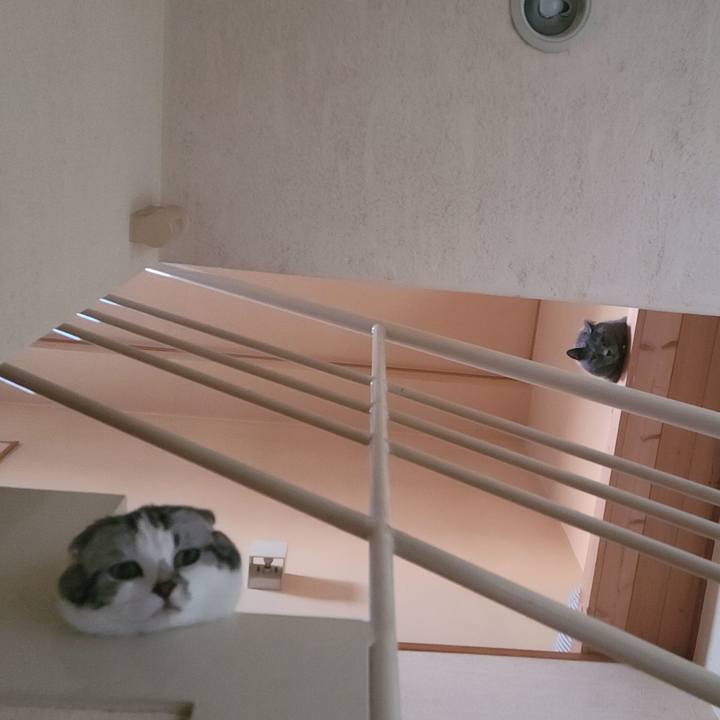 4b4eb465 bf31 4f20 ba71 274e76d60f30 1648803429708