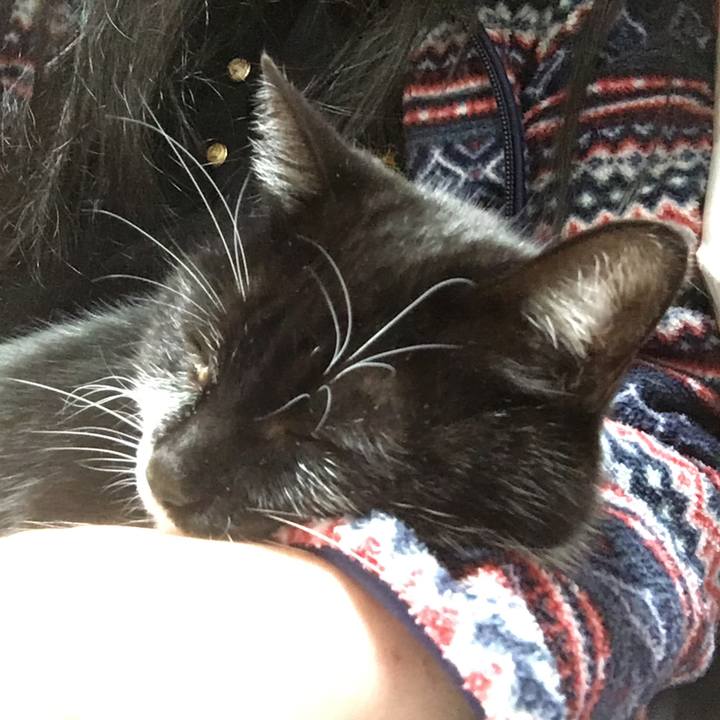 4b4ee1f1 6bbb 4f08 917f 994d54835ae7 1577613996131