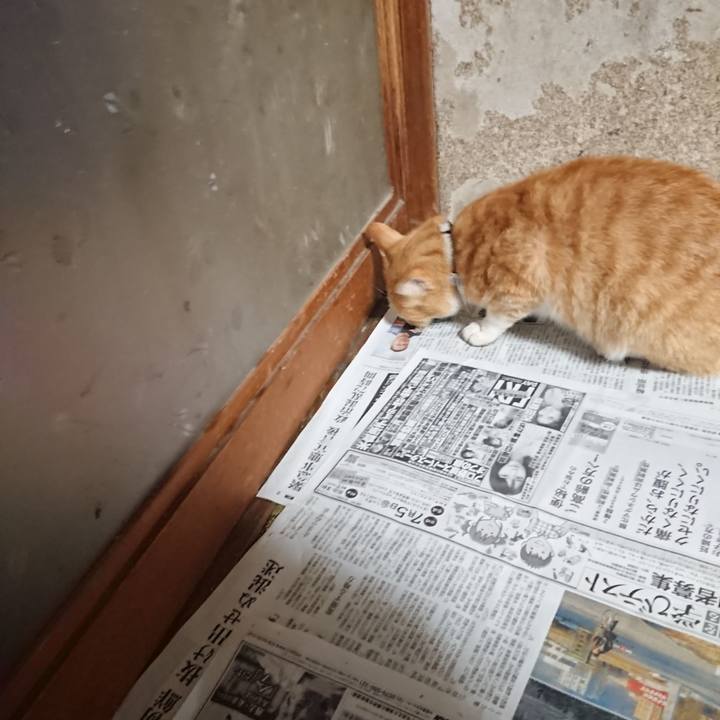 4b4ef303 b350 41f6 806a 315940dd876e 1590781716074