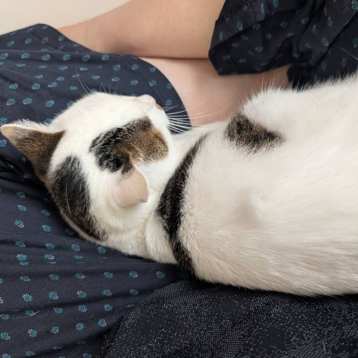 4b4f033e fc64 4651 8d3f 8f8f6f3f2fcd 1757205163747