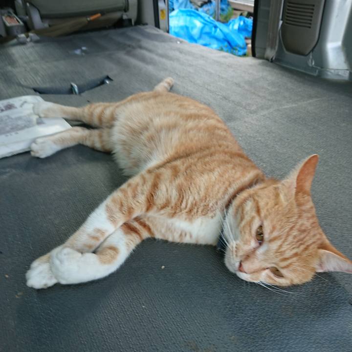 4b4f0fcb ac7a 4891 a4cf b1c3b3f90088 1564045888980