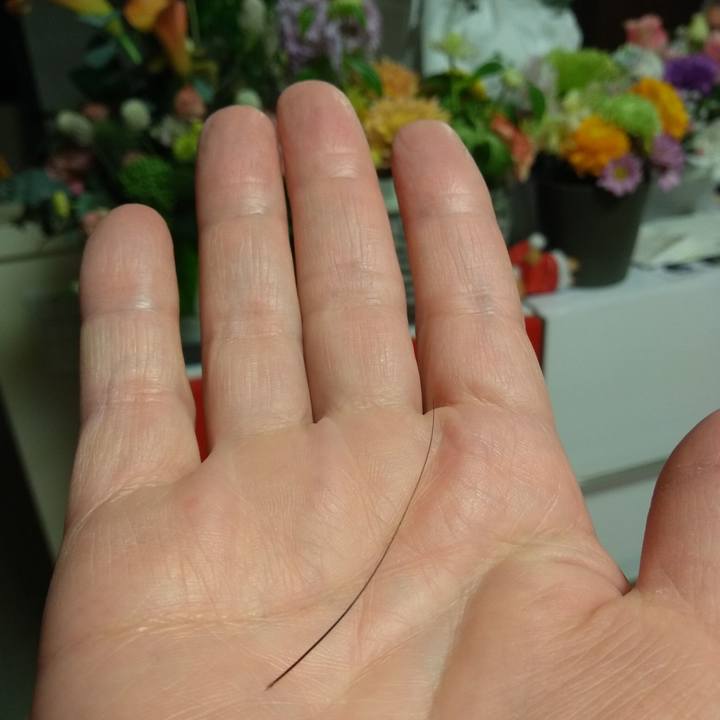 4b4f3bec f63b 43f4 b622 edd44f9b51f4 1576548448320