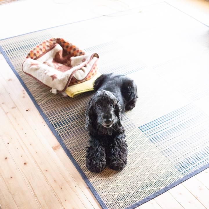 4b4f52eb a005 4777 8517 0c2bd2be8410 1571367612398