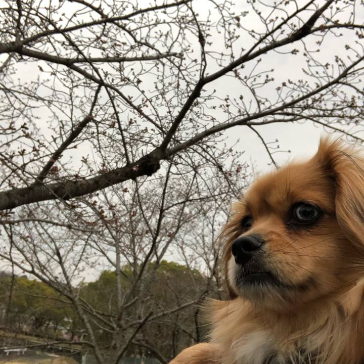 4b4f5725 15ba 4e4a a0ae 6f57c586478f 1553725887662