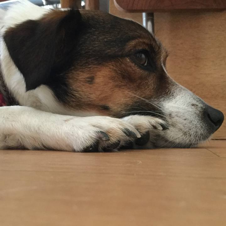 4b4f8daf 135f 4ffc 9daa e9fa3e45cf3d 1526110743170