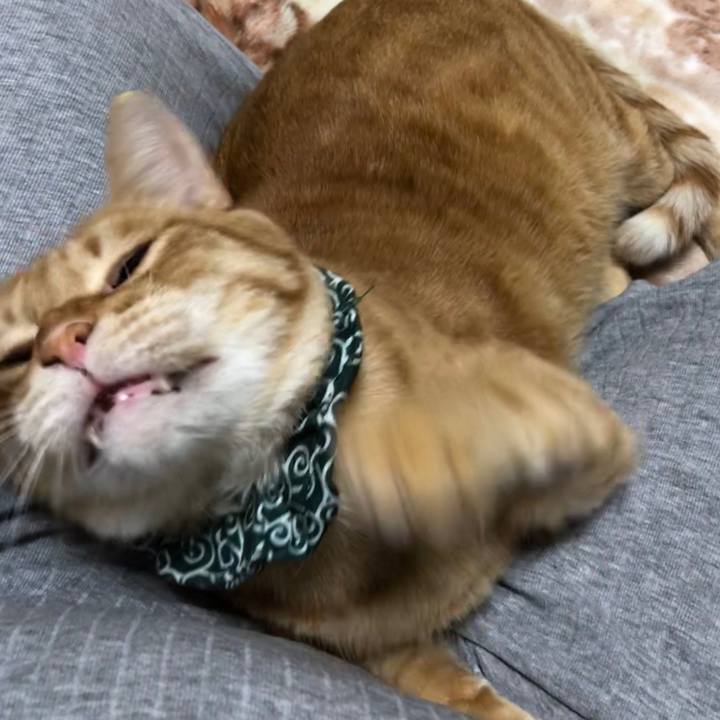 4b4fd723 cd23 409a 9b2b 6c1d3b4e341d 1580477358472