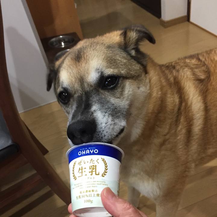 4b4fe0d6 7d63 4389 bf17 84e05b1e58df 1538914437411