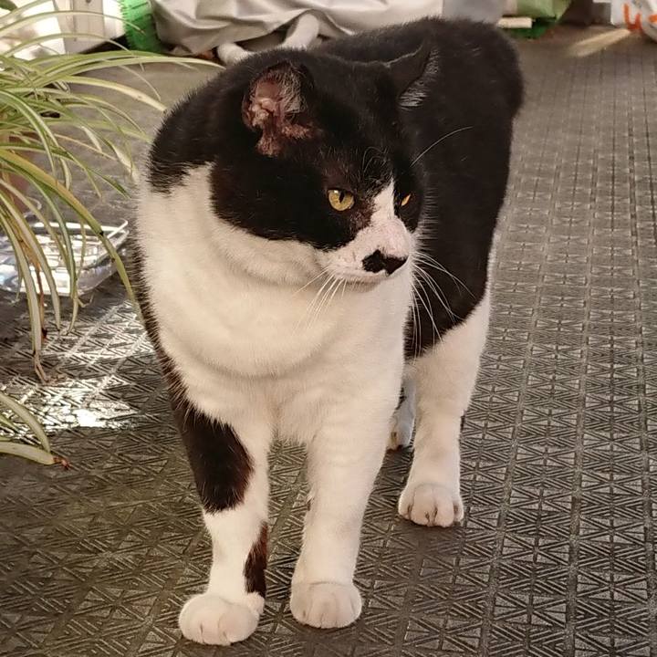 4b4ff097 4a4b 4ea1 bcbe 22616c94033e 1660893026869