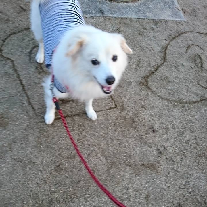 4b502fe1 18db 47c3 a910 d9518205ed40 1512790593342