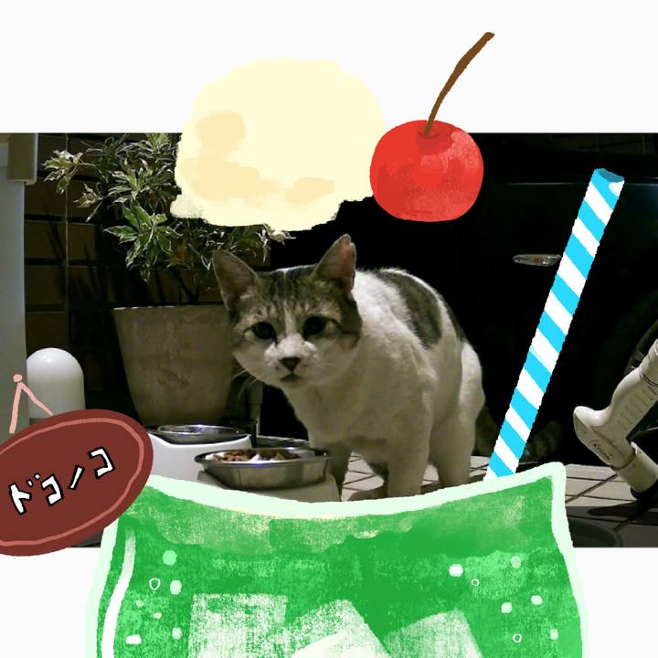 4b503949 8a5c 4d33 a87e da59a37db146 1755178445023