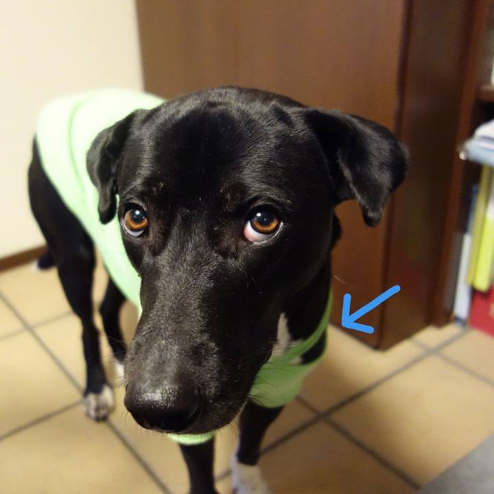 4b5048e1 66e5 4990 84fb 2dcb96604fd5 1613435247946